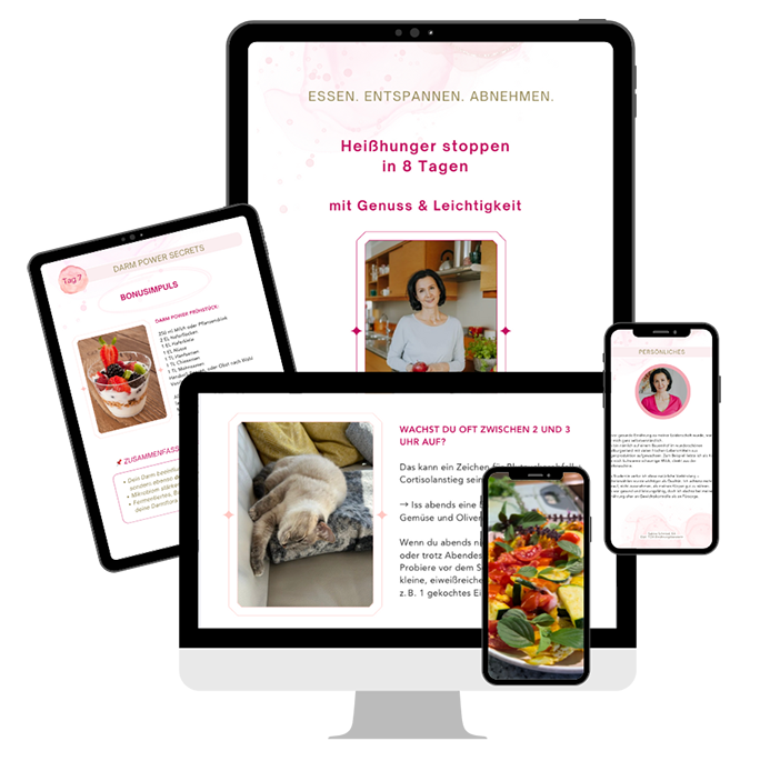 Sabine Schmied - Dein ideales Essen - E-Book Heißhunger Computer