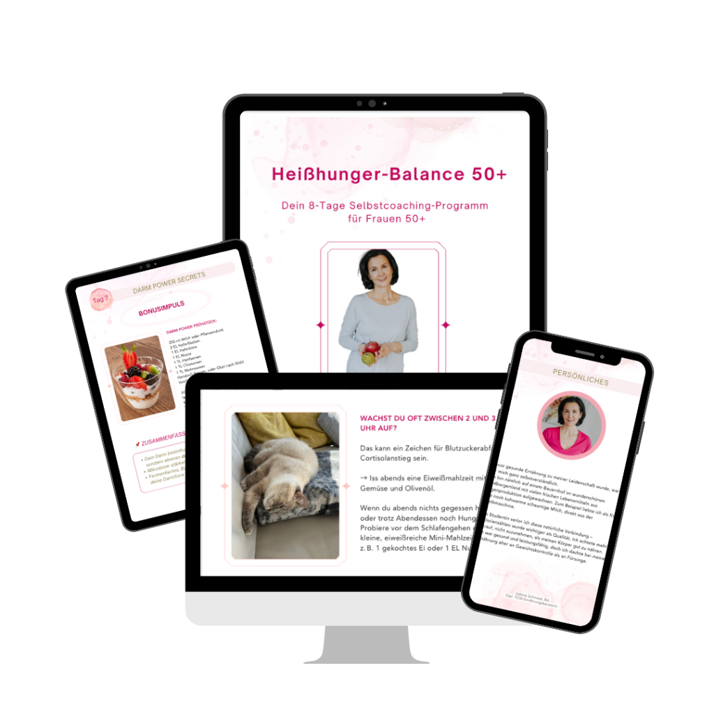Sabine Schmied - Dein ideales Essen - E-Book Heißhunger Computer